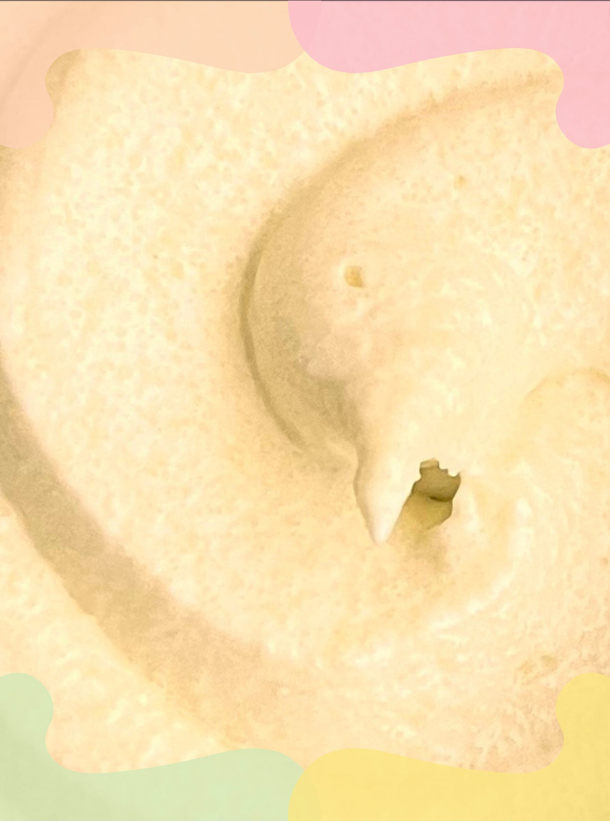 Whipped Body Cream